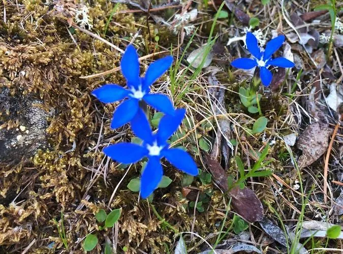 Appartamento Haus Oasis